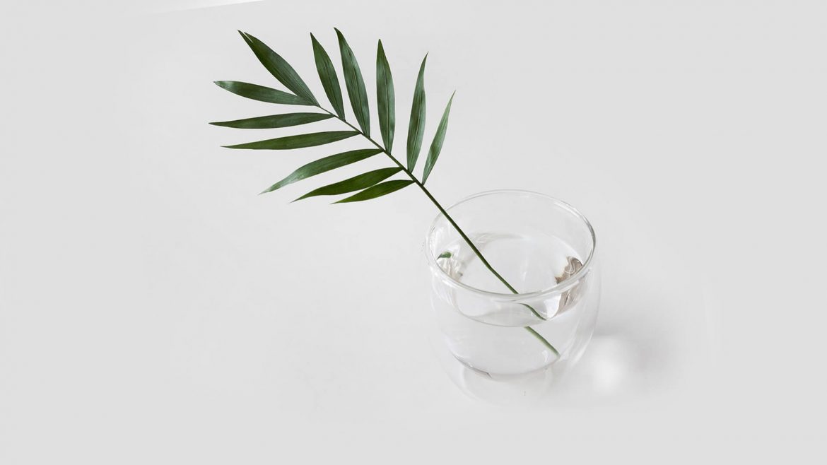 Beware The Design Scam